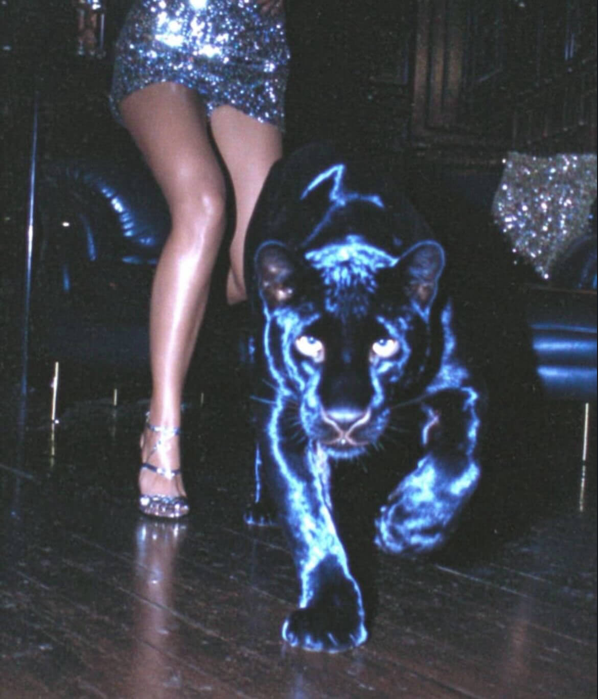 Chompiter Reflective Nylon Jacket – Premium Urban Streetwear